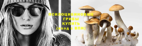 метамфетамин Гусев