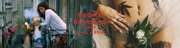 дживик Гусиноозёрск