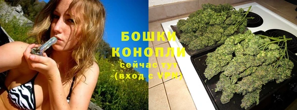 дживик Гусиноозёрск