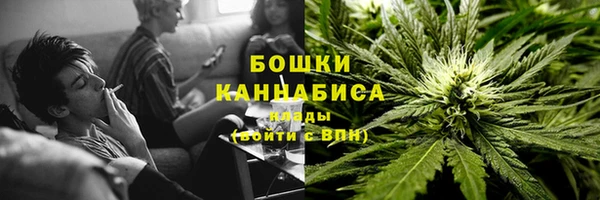 дживик Гусиноозёрск